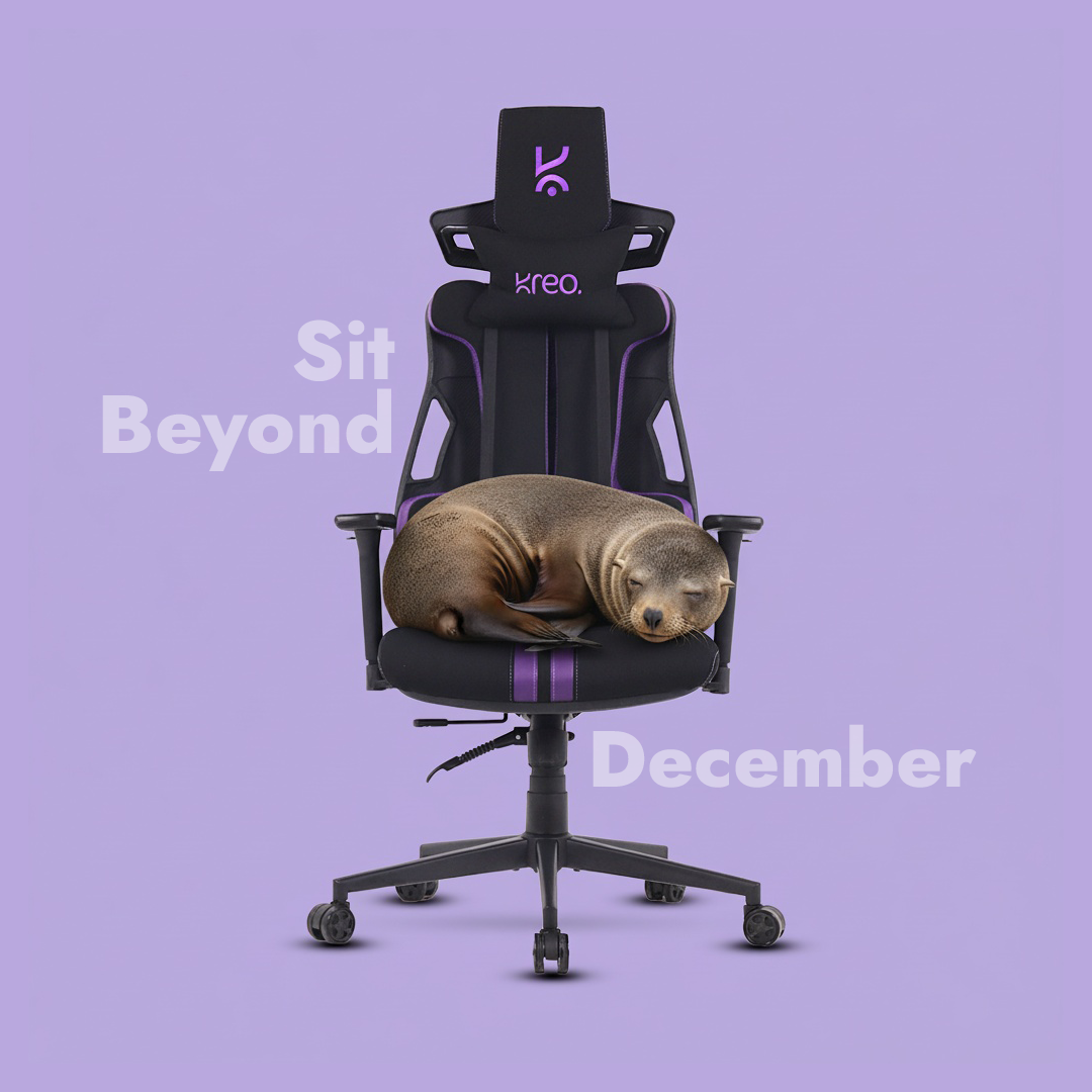 Cirrus Ergonomic Chair