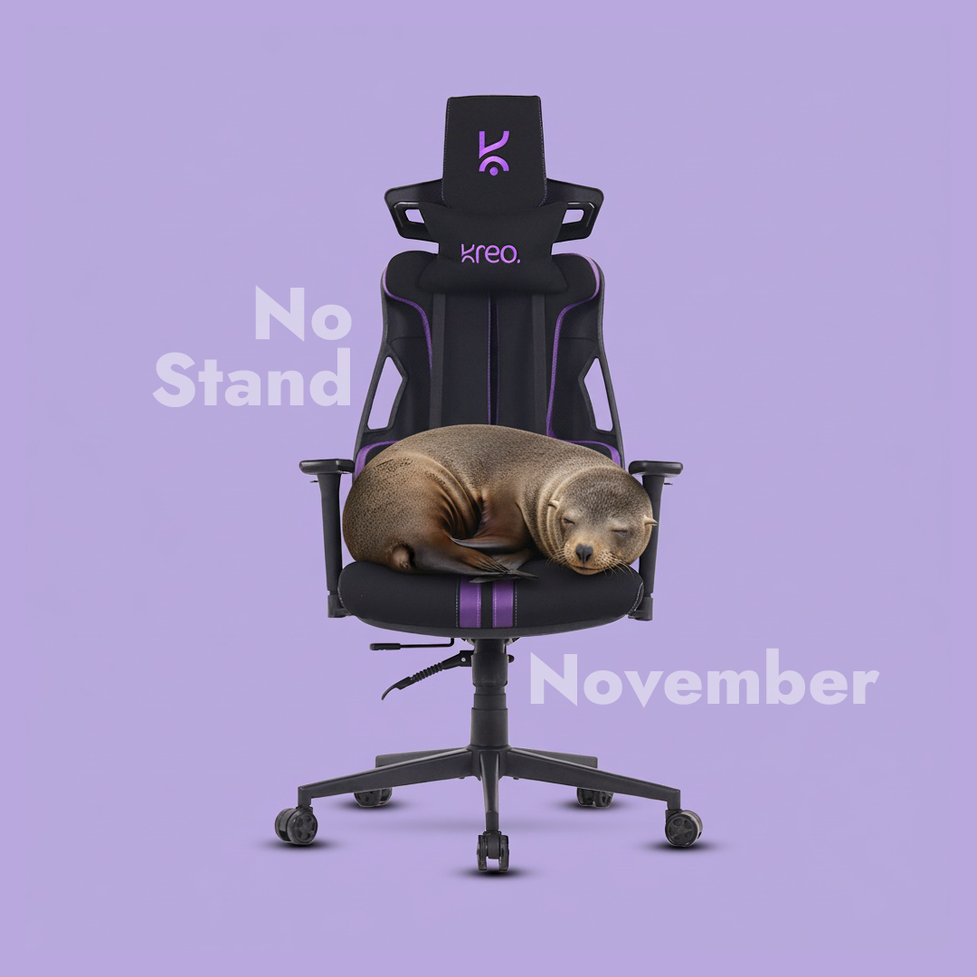 Cirrus Ergonomic Chair