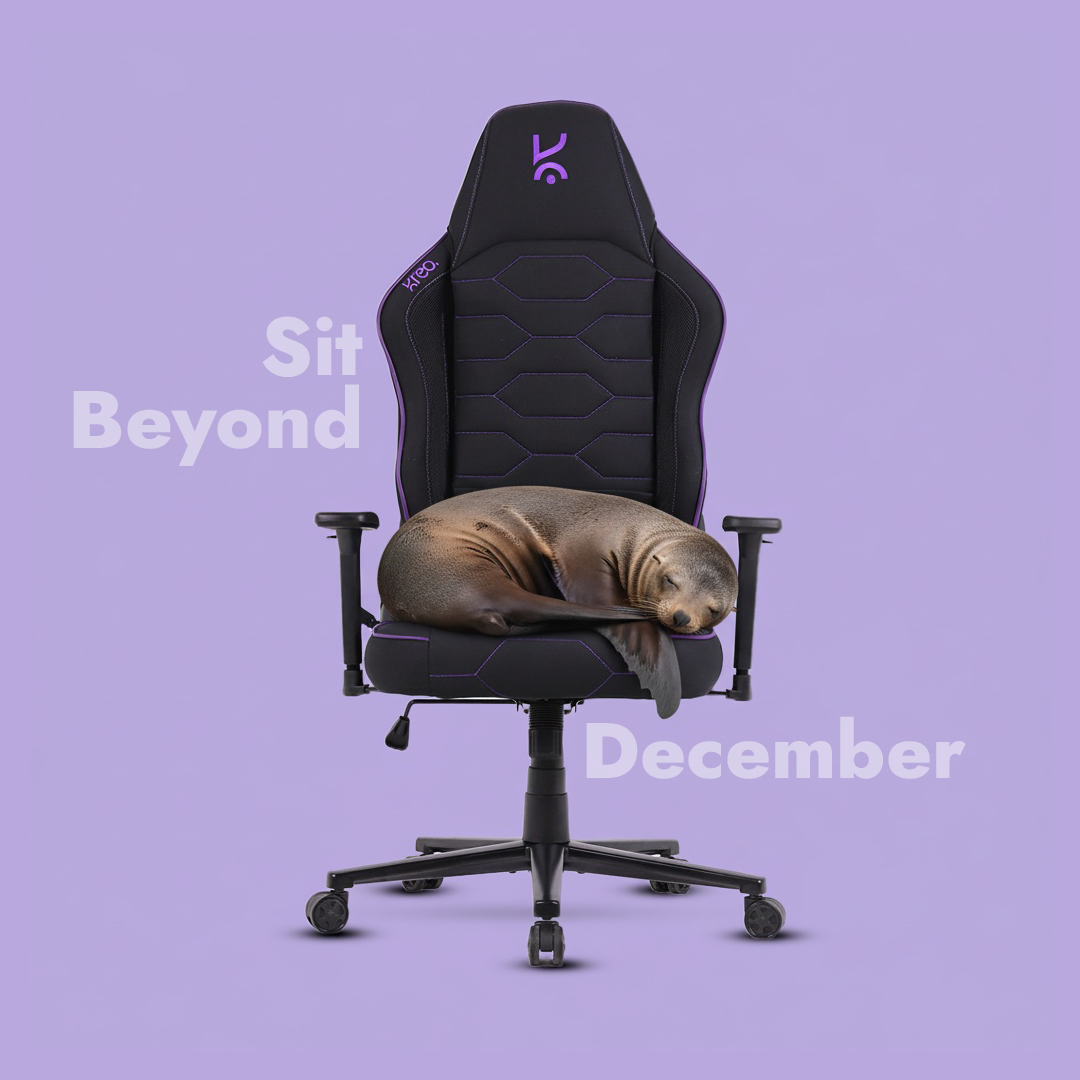 Noctus Ergonomic Chair