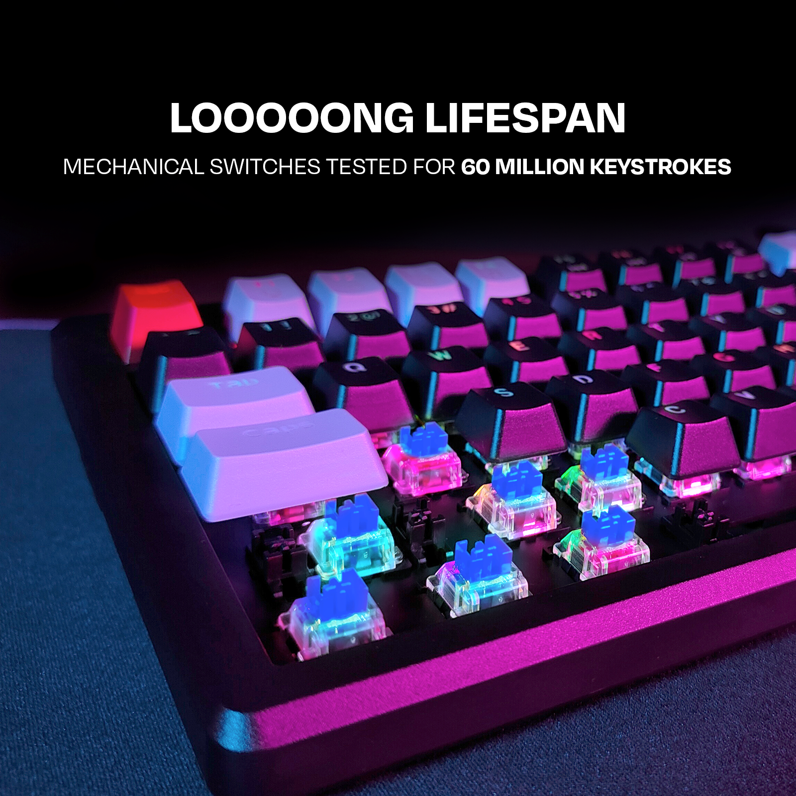 Hive RGB Gaming Keyboard Kreo