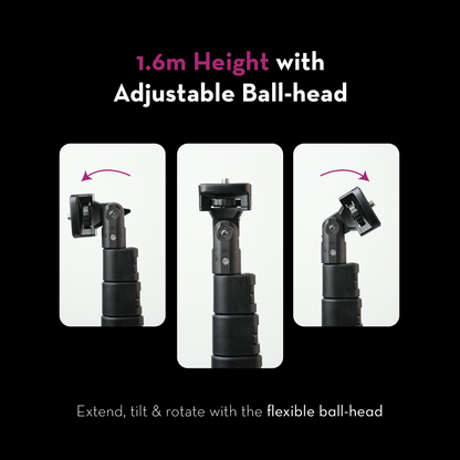 Nine16 Loop 13 Ring light with Axis Combo Kreo