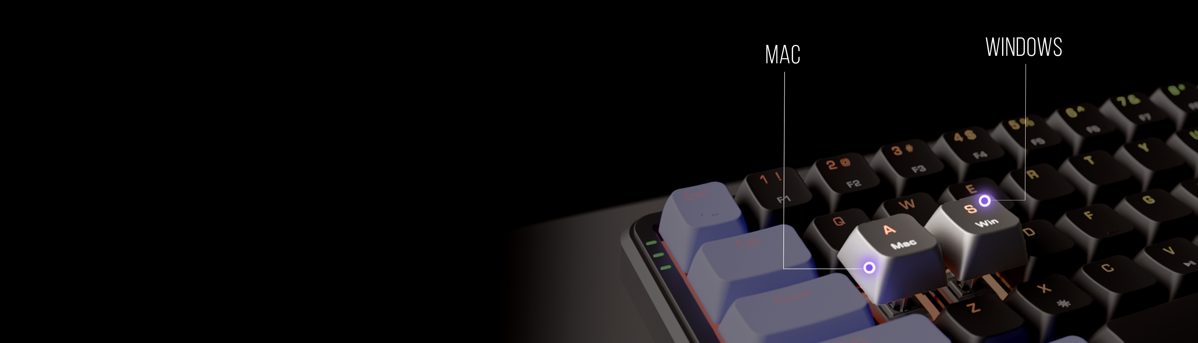 Compact Design. Vibrant Lighting.