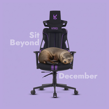 Cirrus Ergonomic Chair