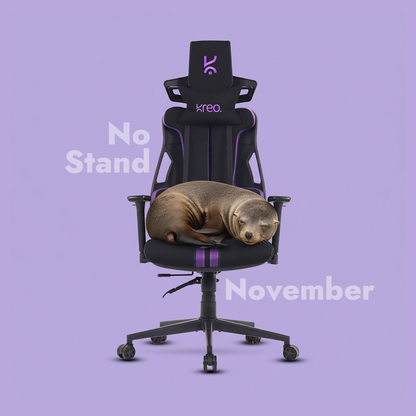 Cirrus Ergonomic Chair