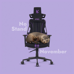 Cirrus Ergonomic Chair