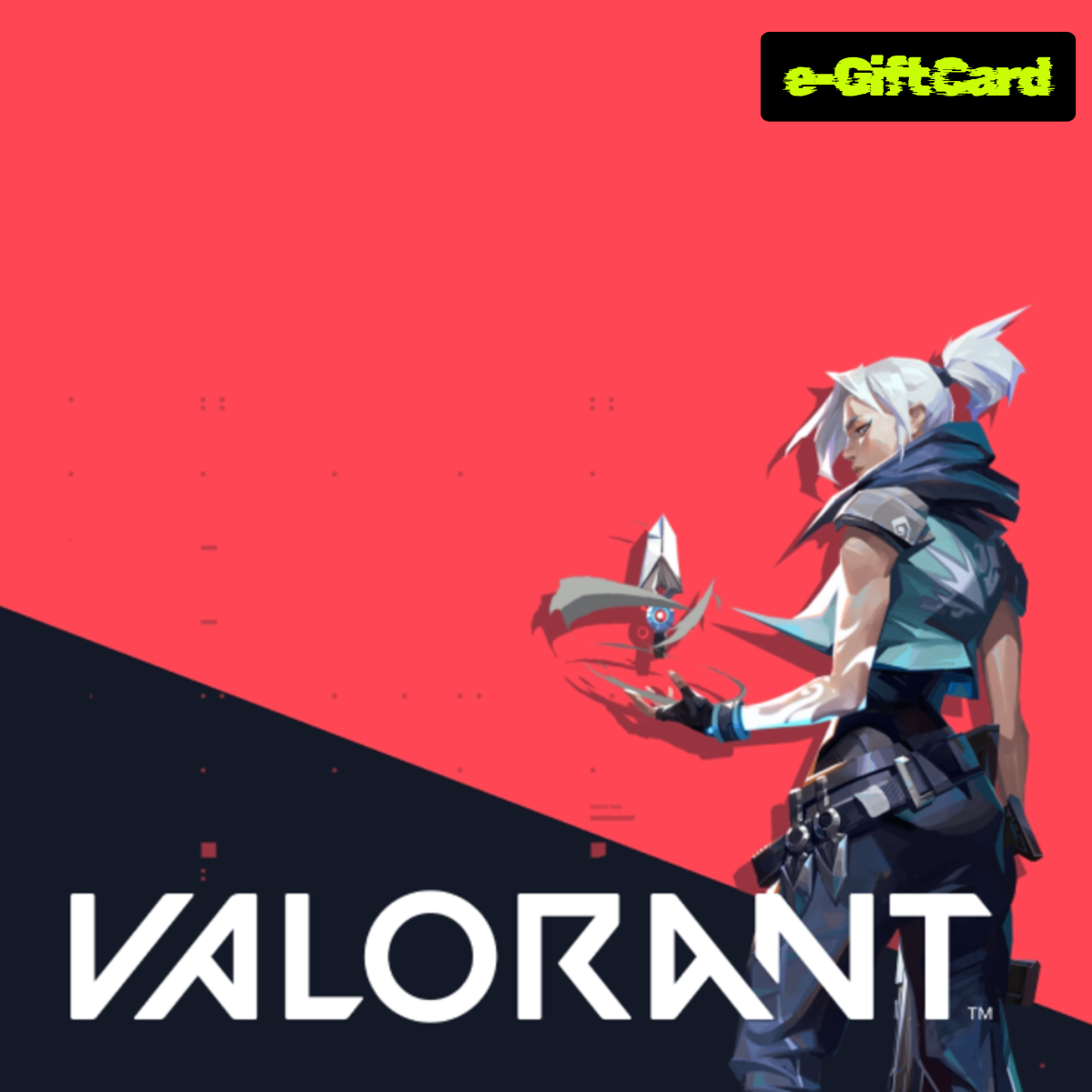Valorant e-Gift Card stan