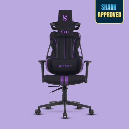 Cirrus Ergonomic Chair