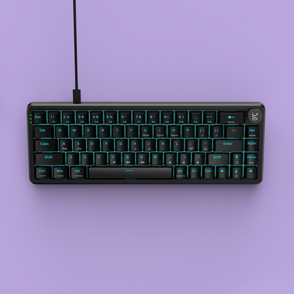 Hive65 All Black Wired Mechanical Gaming Keyboard