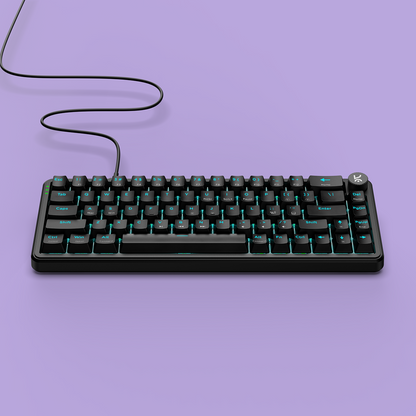 Hive65 All Black Wired Mechanical Gaming Keyboard