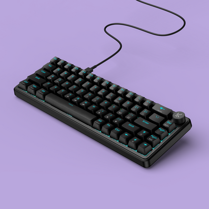 Hive65 All Black Wired Mechanical Gaming Keyboard