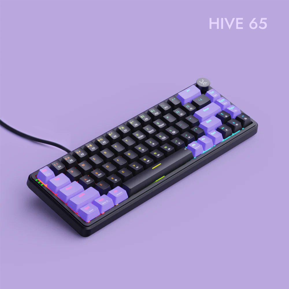 HIVE 65