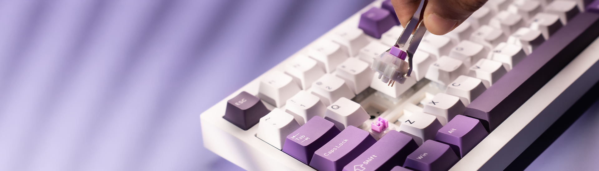 Swarm White Purple Wireless Gaming Keyboard – Kreo Swarm White Purple Wireless Gaming Keyboard – Kreo