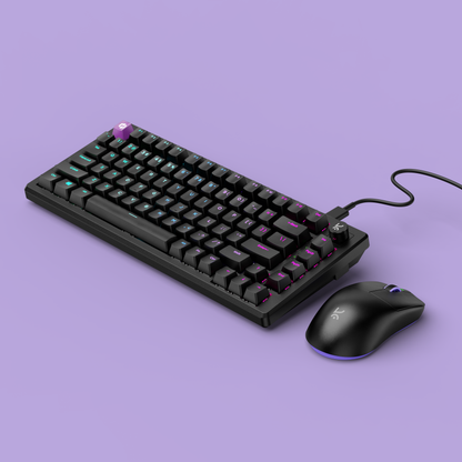 Esports Combo (ARMA and Hive75 HE)