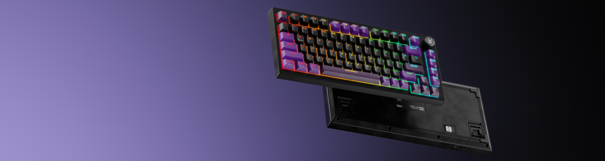 Compact Design. Vibrant Lighting.