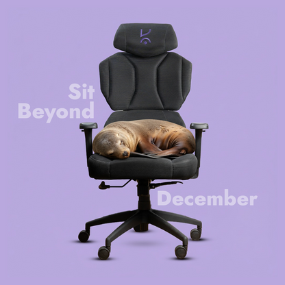 Altus Ergonomic Chair