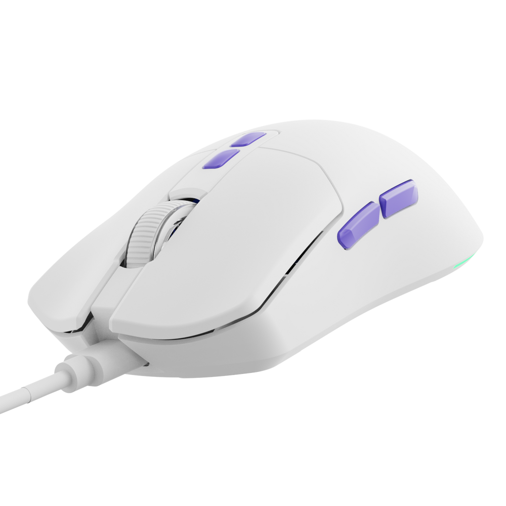 Arctic White