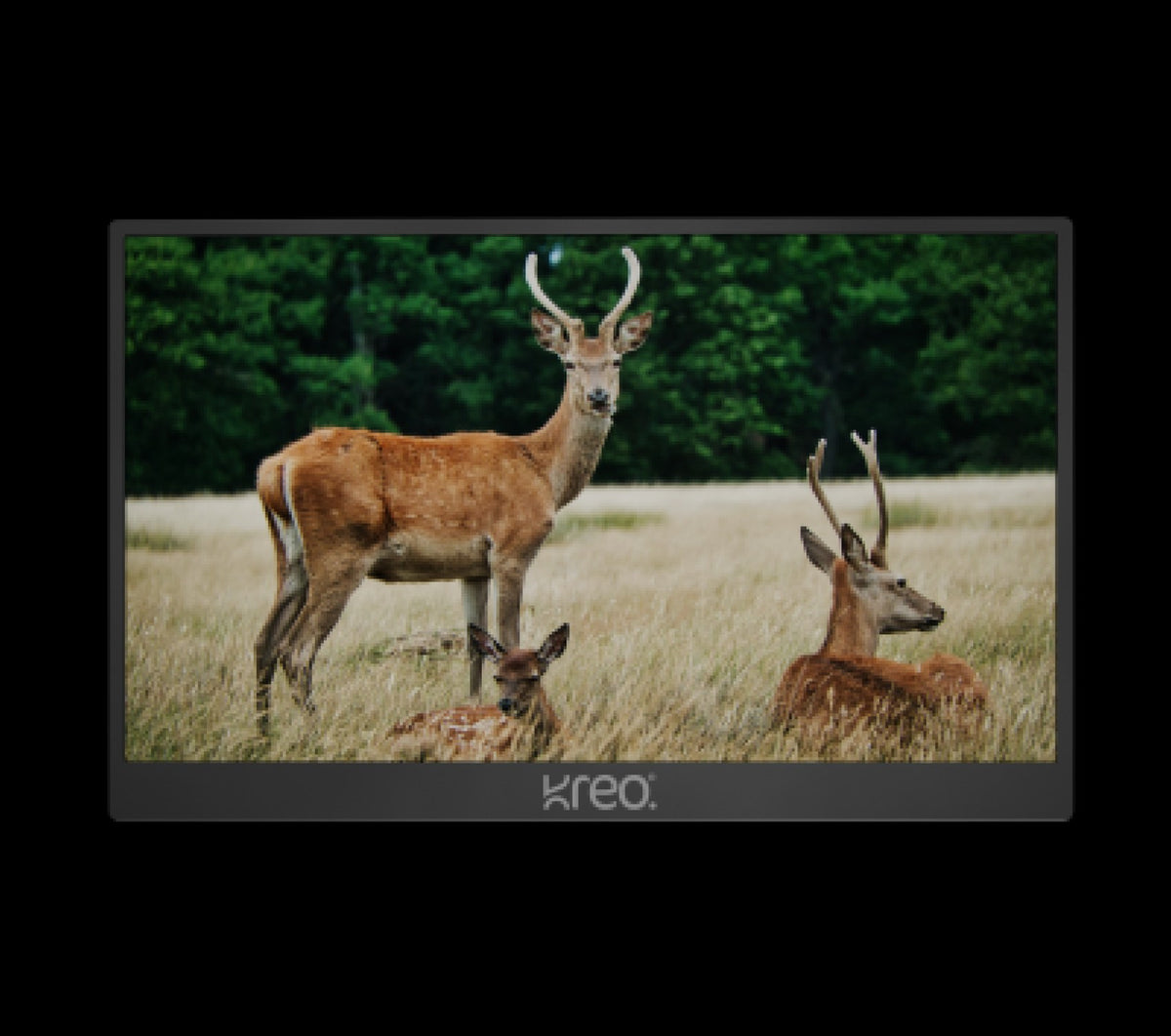 Obsidian Portable V2 playing a wildlife scene