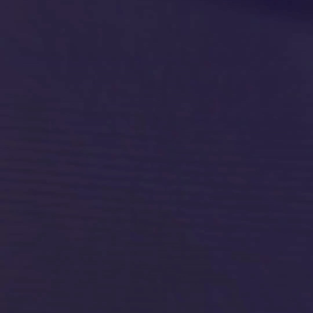 Actus V2 Ergonomic Chair