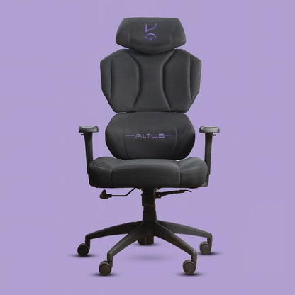 Altus Ergonomic Chair