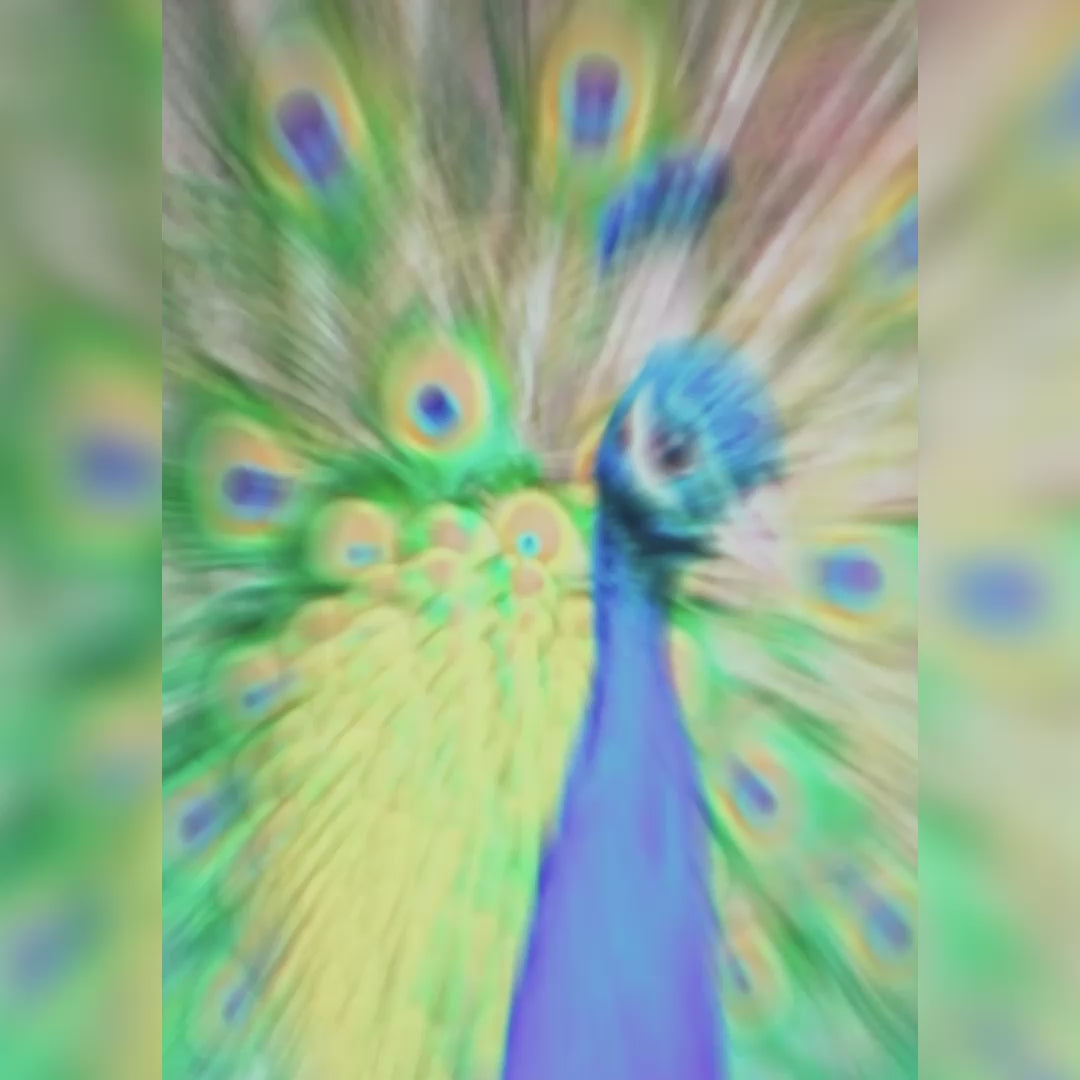 Obsidian 27-inch Gaming Monitor